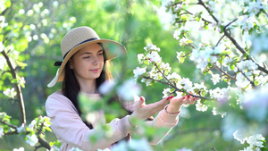 美丽的年轻女子享受着盛开的苹果花春果园11秒视频