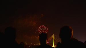 人看烟花桥桥夜间照明25秒视频