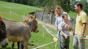 意大利阿尔塔巴迪亚一家人在野外喂驴9秒视频