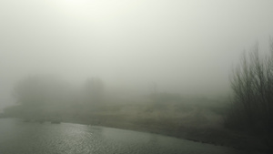 河流和被雾覆盖的光秃秃的树木26秒视频
