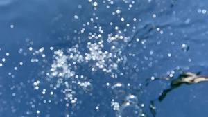 气泡的水下视图17秒视频