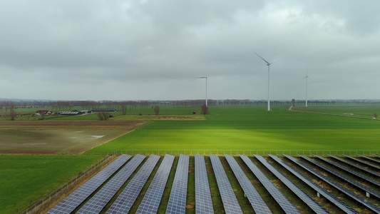 荷兰海尔德兰绿色田野上的电力风车视频