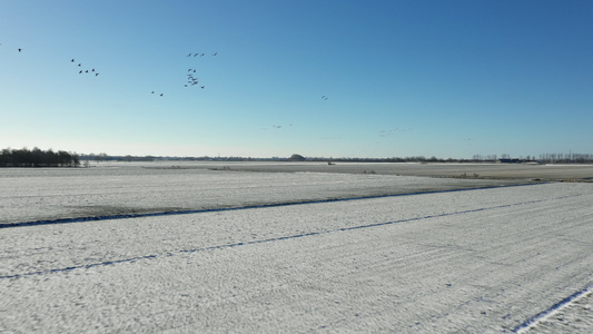 荷兰弗里斯兰布鲁克冰雪覆盖的田野视频