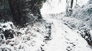 英国肯特郡森林中积雪覆盖的土路22秒视频