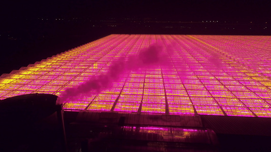 夜间带 LED 照明的温室荷兰视频