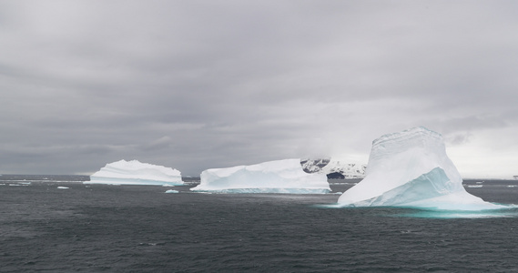 海中的冰山布朗布拉夫南极半岛南极洲视频