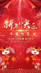 红色喜庆新年快乐节日海报视频