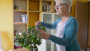 老妇人在家用水喷洒盆栽植物13秒视频