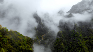 4K大山深处自然风光70秒视频