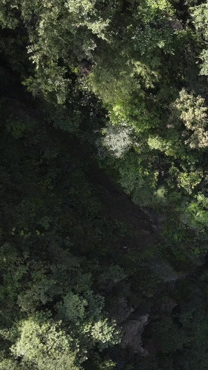 航拍国家5A级旅游景区重庆黑山谷神龙洞国家级森林公园42秒视频