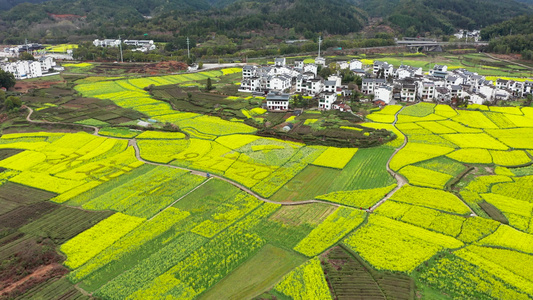 江西婺源月亮湾秋口油菜花彩绘图案风光航拍视频