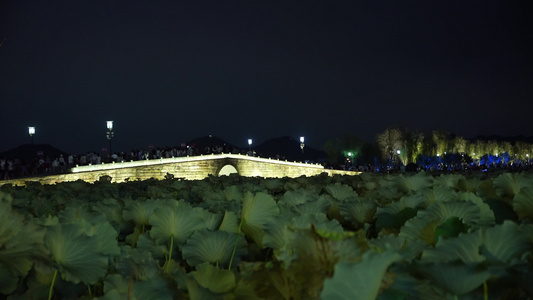 杭州西湖风景区断桥景点夜景4K视频视频