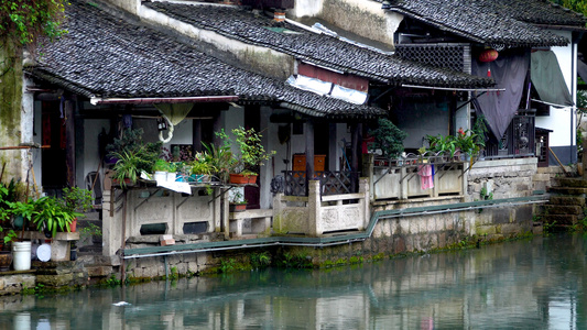 下雨天的仓桥直街风光合集视频