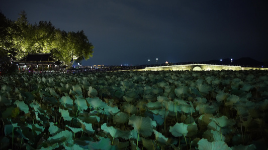 杭州西湖风景区断桥景点夜景4K视频视频