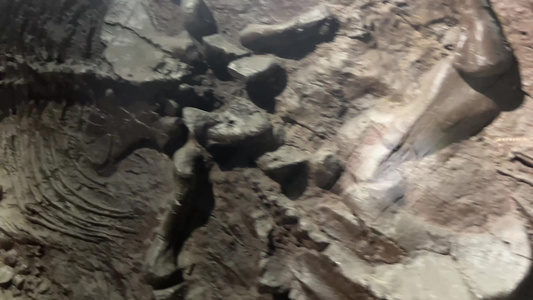 考古化石中的恐龙骨骼视频