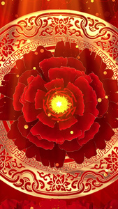 红色大气红色牡丹花粒子花纹背景中国风视频