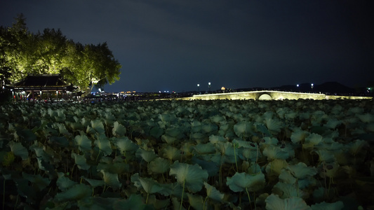 杭州西湖风景区断桥景点夜景4K视频视频