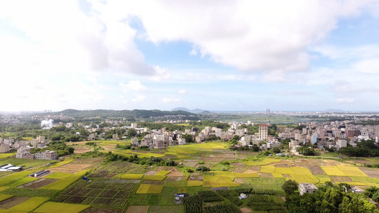 沿海农村航拍视频