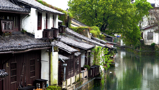 雨天的仓桥直街风光合集视频