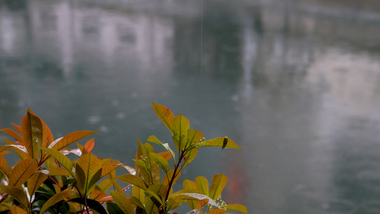 打在水面上的雨滴 合集视频