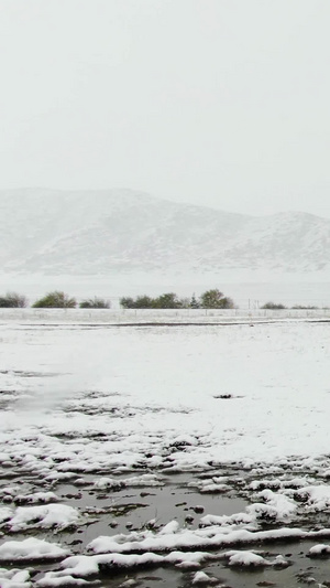 航拍草原下雪雪景视频红原县73秒视频