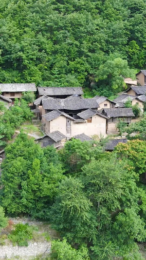 甘肃陇南传统民居保护古村落航拍航拍中国71秒视频