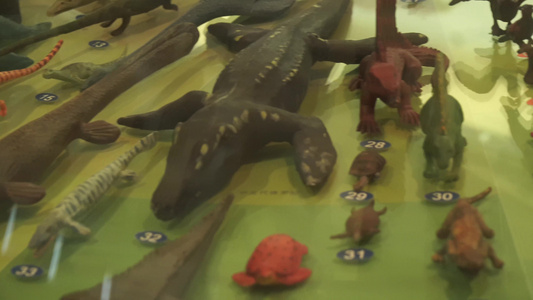 恐龙动物进化演变模型玩具视频
