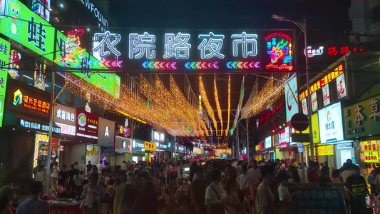 南宁小吃街农院路夜市步行街摊贩逛街视频