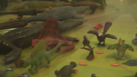恐龙动物进化演变模型玩具视频