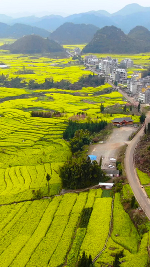 航拍云南曲靖山峦中的油菜花田与村庄田园风光视频旅游观光53秒视频