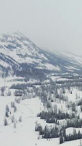 航拍新疆冬季阿尔泰山喀纳斯雪景森林山野旅游风光航拍森林视频