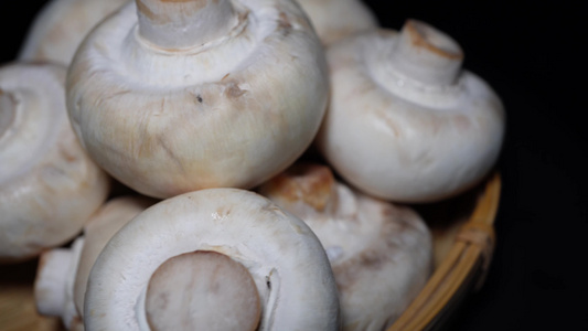 口蘑白蘑菇食材氨基酸视频