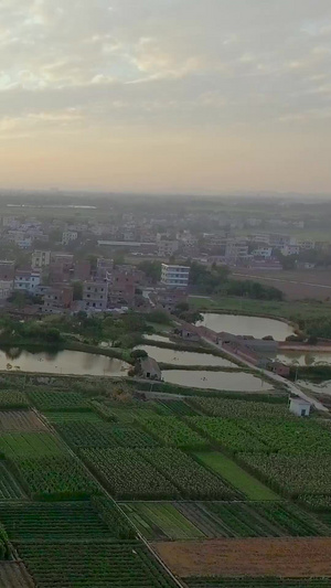 夕阳下的农村 大片种植用地航拍艺术渲染43秒视频