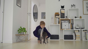 有猫的男孩在家14秒视频