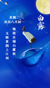 中国风中国传统二十四节气白露节日宣传视频海报视频