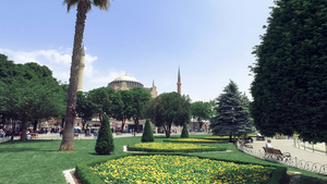 伊斯坦布尔岛有多彩的郁金香和鲜花15秒视频