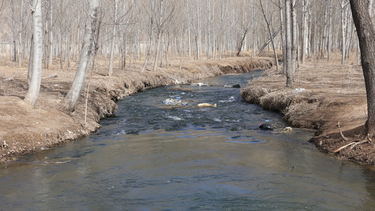 农村河流 溪水 水资源河水污染视频
