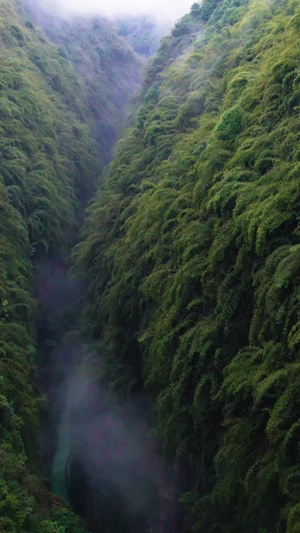 航拍阿依河河谷步行风景5A景区77秒视频