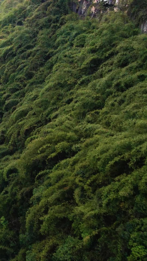 航拍阿依河河谷步行风景两岸青山77秒视频