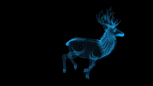 黑背景鹿的电线框架动画视频