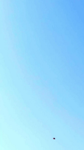 蓝天下飞翔的风筝放风筝视频
