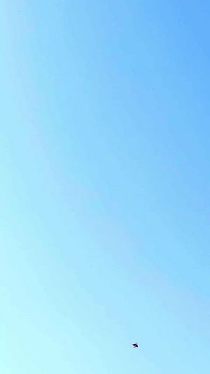蓝天下飞翔的风筝放风筝23秒视频
