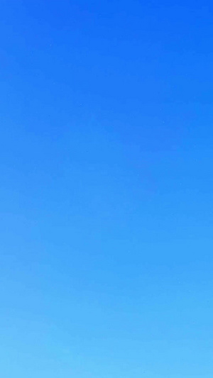 蓝天下飞翔的风筝放风筝23秒视频