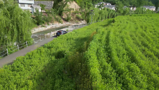 汽车自驾游在乡村景区道路上河边行驶3视频