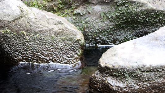 夏日流动的清澈的溪水泉水[澄净]视频