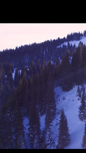 逆光航拍雪山森林风景视频