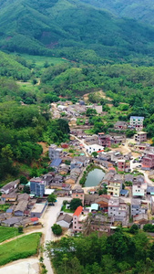 小村庄航拍大山树林视频