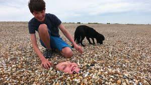 男孩和狗在海滩上7秒视频