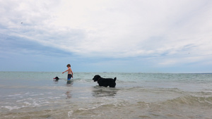 男孩和狗在海中13秒视频