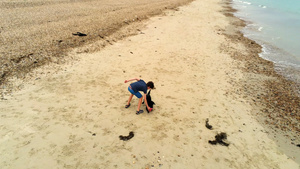 海滩上的男孩和狗6秒视频